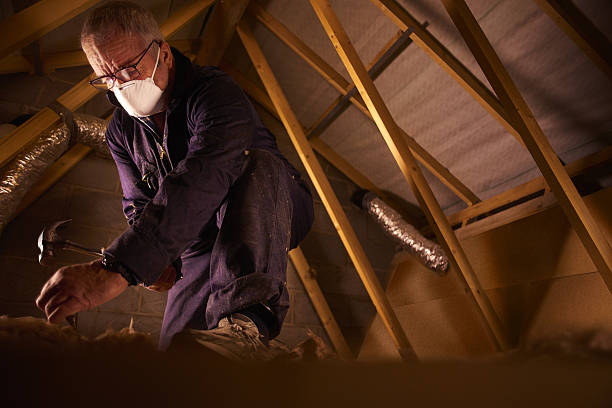 Best DIY Insulation Kits and Guidance in Anderson, MO