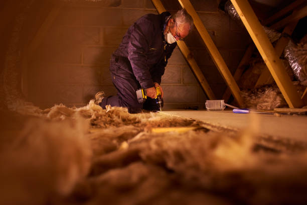 Best DIY Insulation Kits and Guidance in Anderson, MO